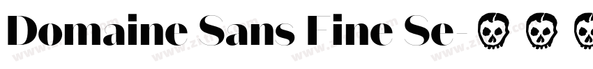 Domaine Sans Fine Se字体转换